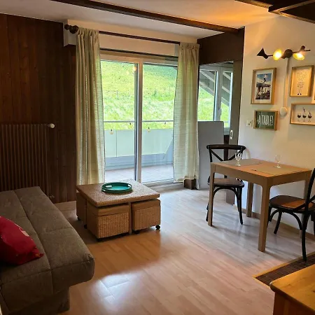 Apartment Cozy Chalet-Style Apartment *